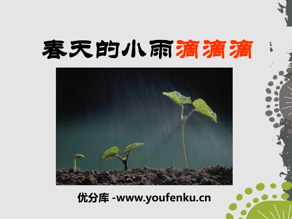 《春天的小雨滴滴滴》PPT课件[S版三年级语文下册]_第1页