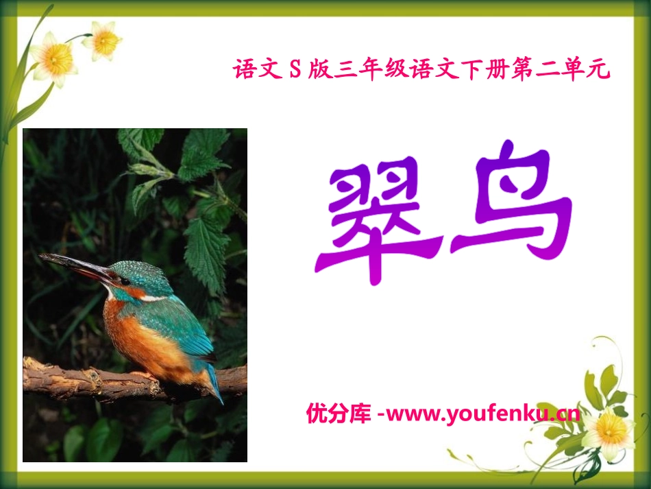 《翠鸟》PPT课件[S版三年级语文下册]_第1页