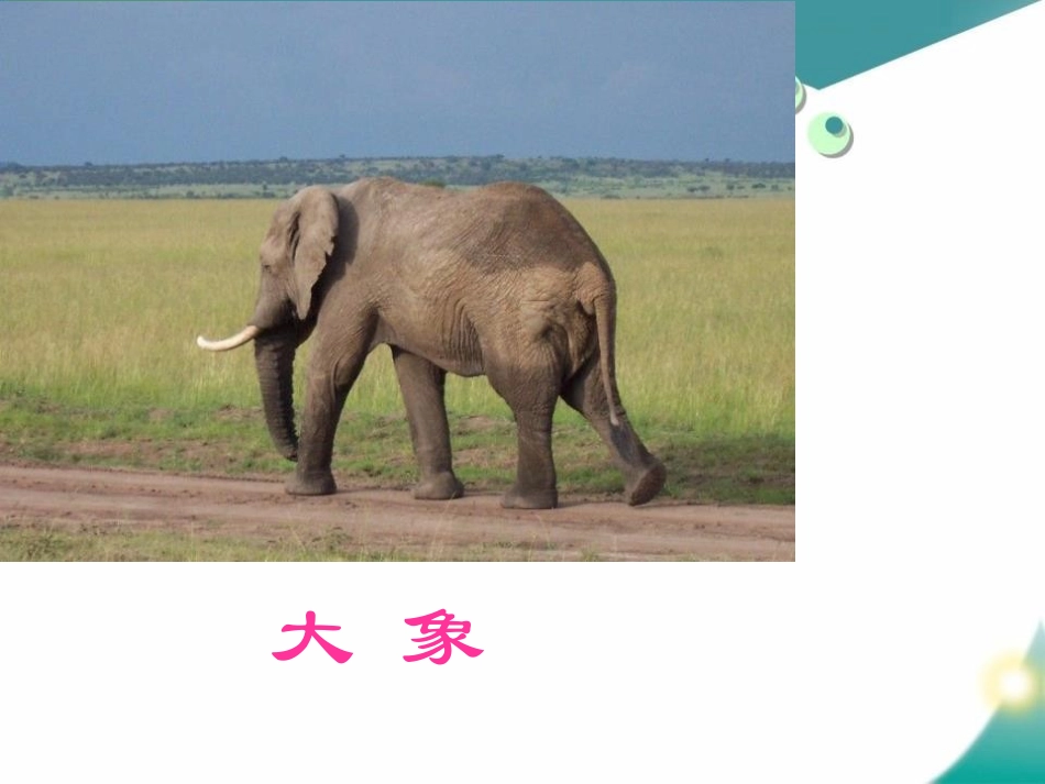 《大象保姆》PPT课件[S版三年级语文下册]_第3页