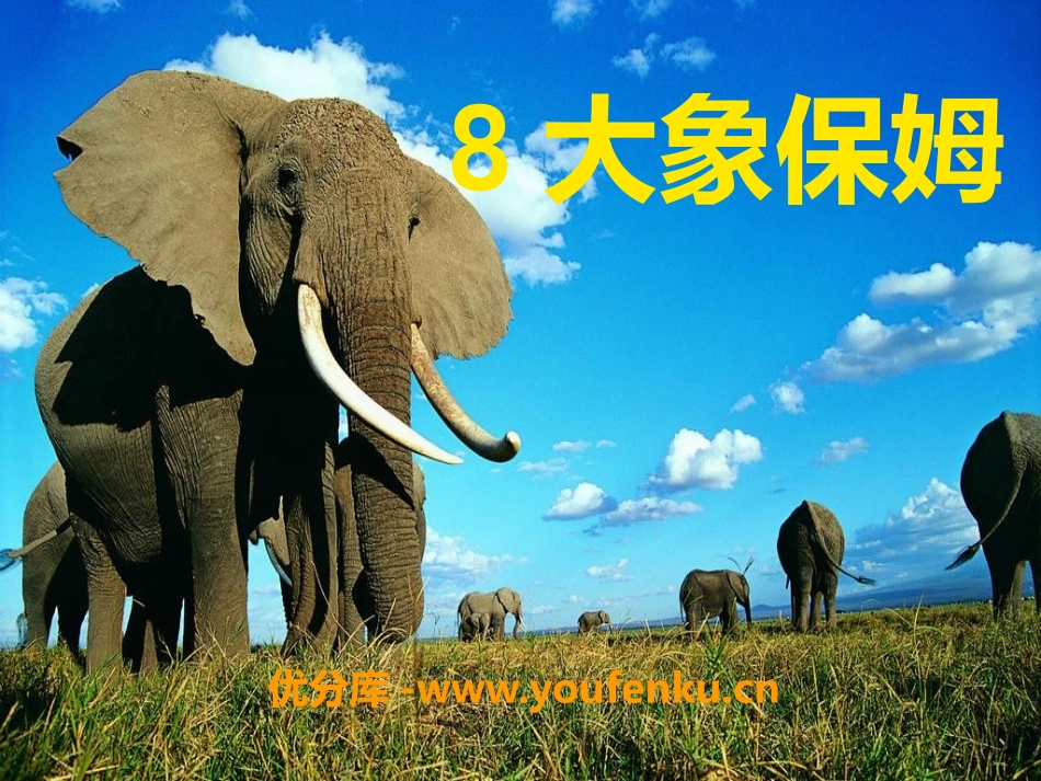 《大象保姆》PPT课件[S版三年级语文下册]_第1页