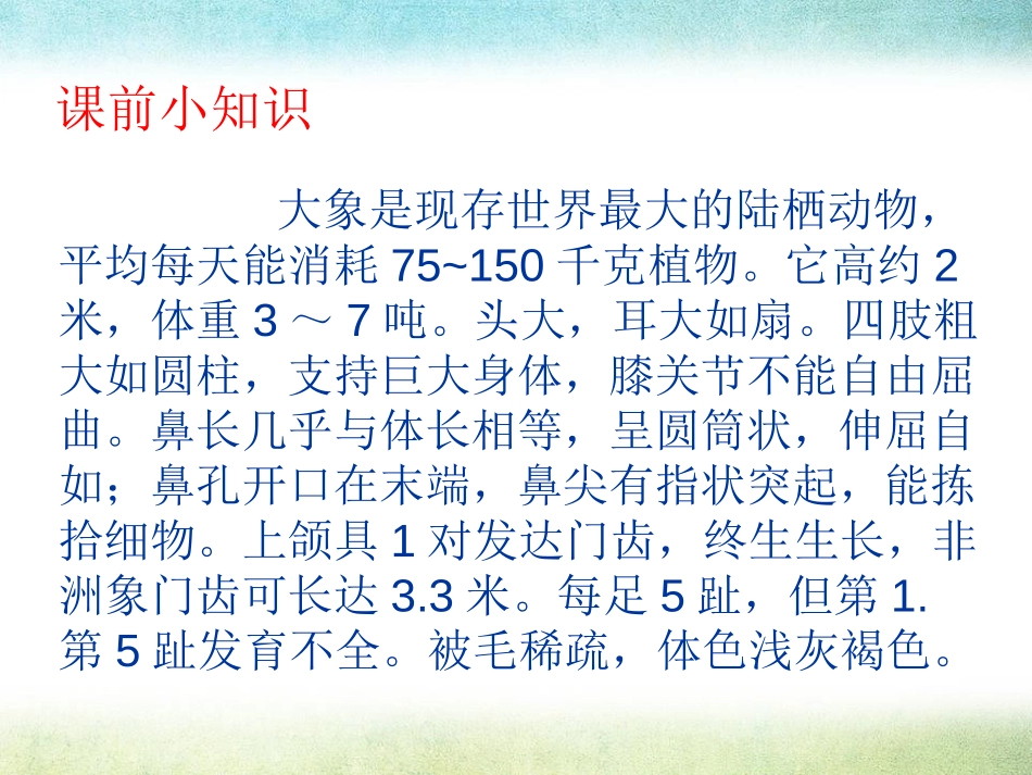 《大象保姆》PPT课件[S版三年级语文下册]_第2页