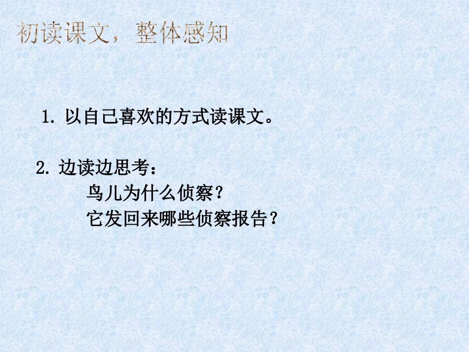 《鸟儿的侦察报告》PPT课件[S版三年级语文下册]_第3页