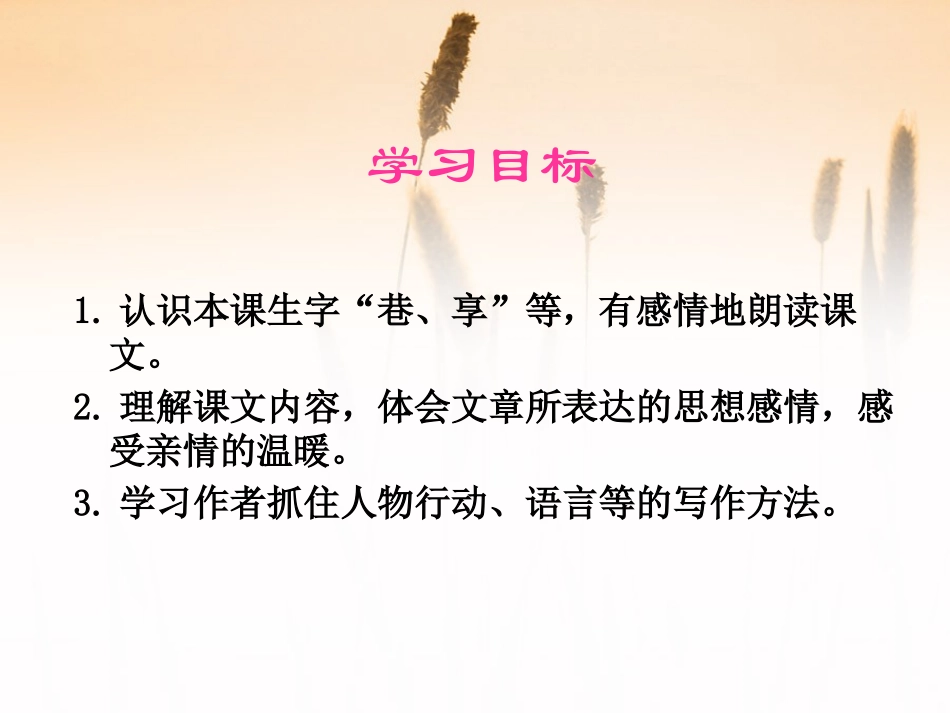 《心中那盏灯》PPT课件[S版三年级语文下册]_第2页