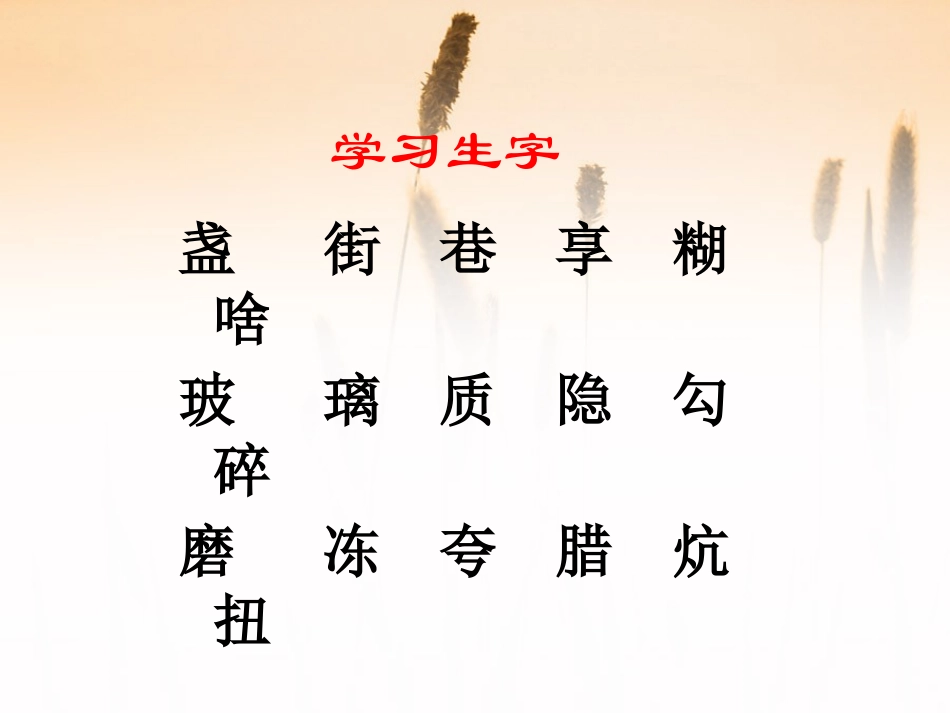 《心中那盏灯》PPT课件[S版三年级语文下册]_第3页