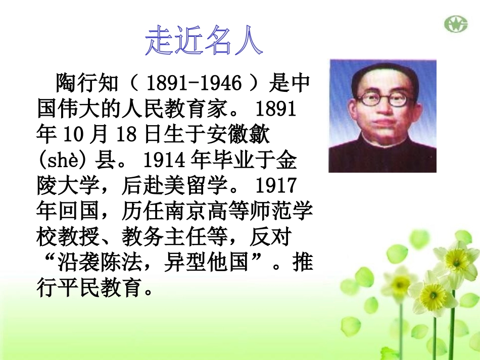 《放飞蜻蜓》PPT课件[S版三年级语文下册]_第2页