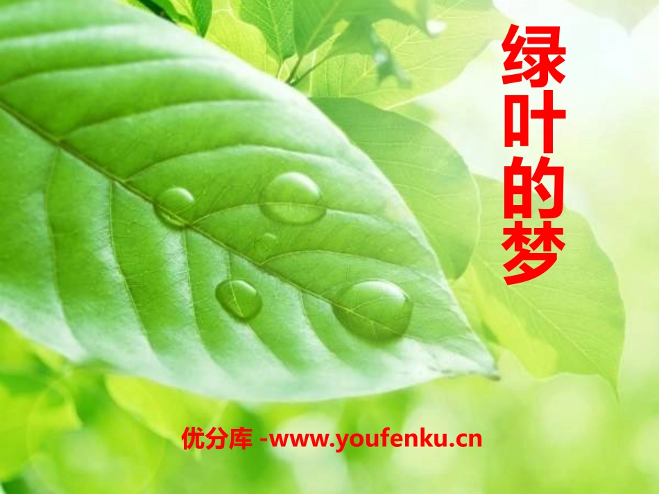 《绿叶的梦》PPT课件[S版四年级语文上册]_第1页