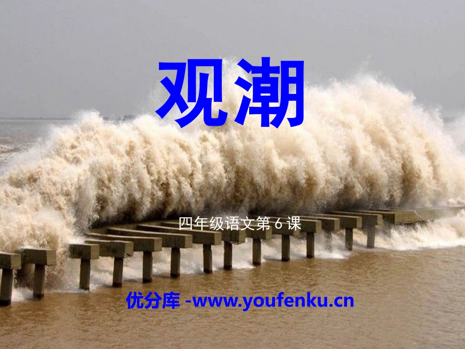 《观潮》PPT课件[S版四年级语文上册]_第1页