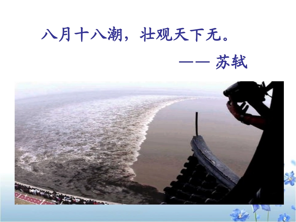 《观潮》PPT课件[S版四年级语文上册]_第3页
