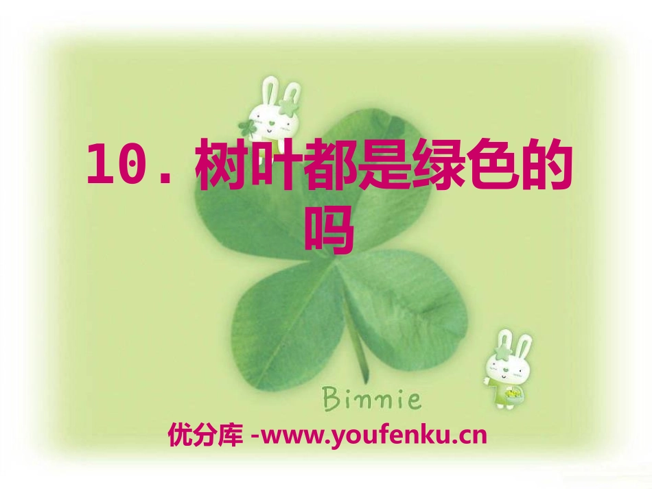 《树叶都是绿色的吗》PPT课件[S版四年级语文上册]_第1页