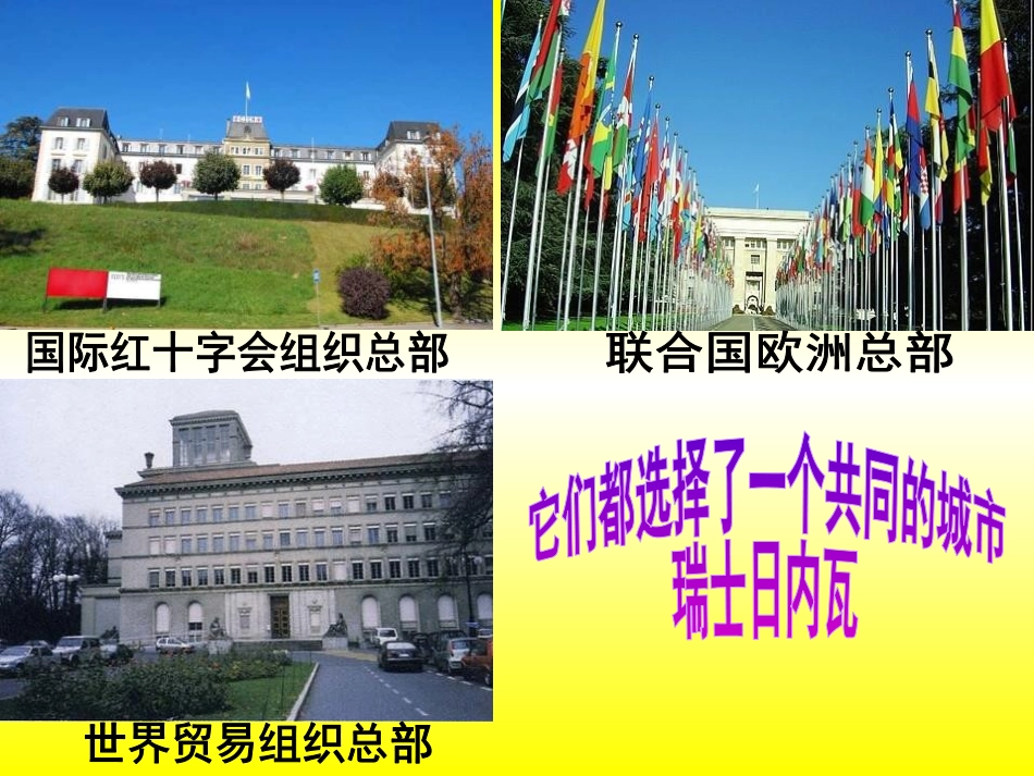 《让它们自由生息》PPT课件[S版四年级语文上册]_第2页
