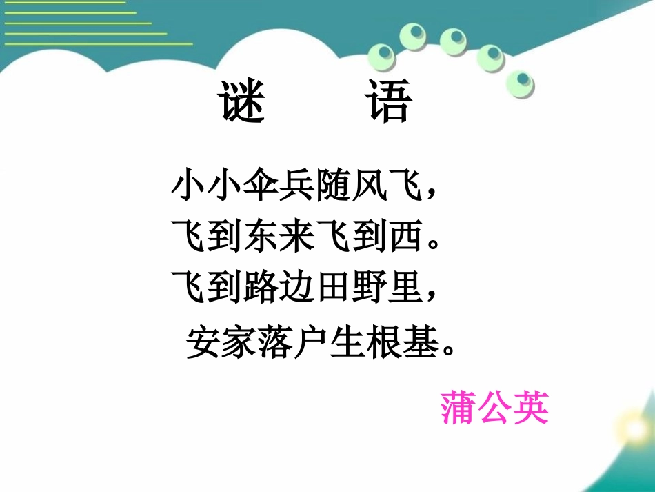 《蒲公英的梦》PPT课件[S版四年级语文上册]_第2页