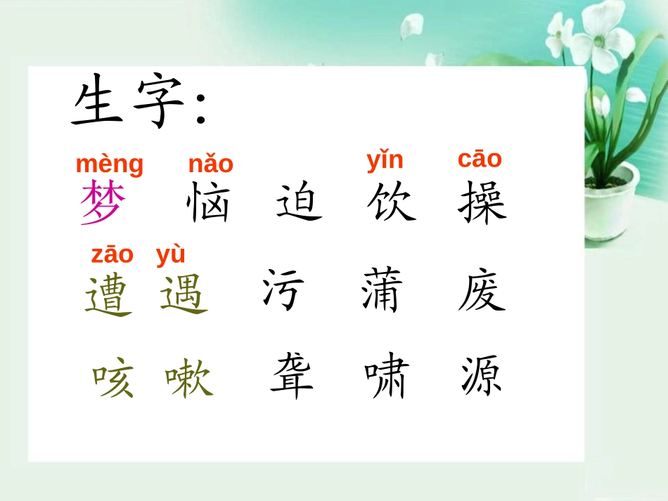 《蒲公英的梦》PPT课件[S版四年级语文上册]_第2页