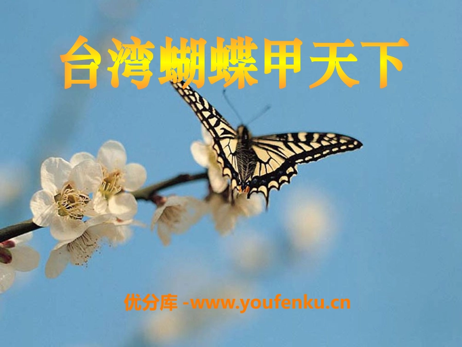 《台湾蝴蝶甲天下》PPT课件[S版四年级语文上册]_第1页