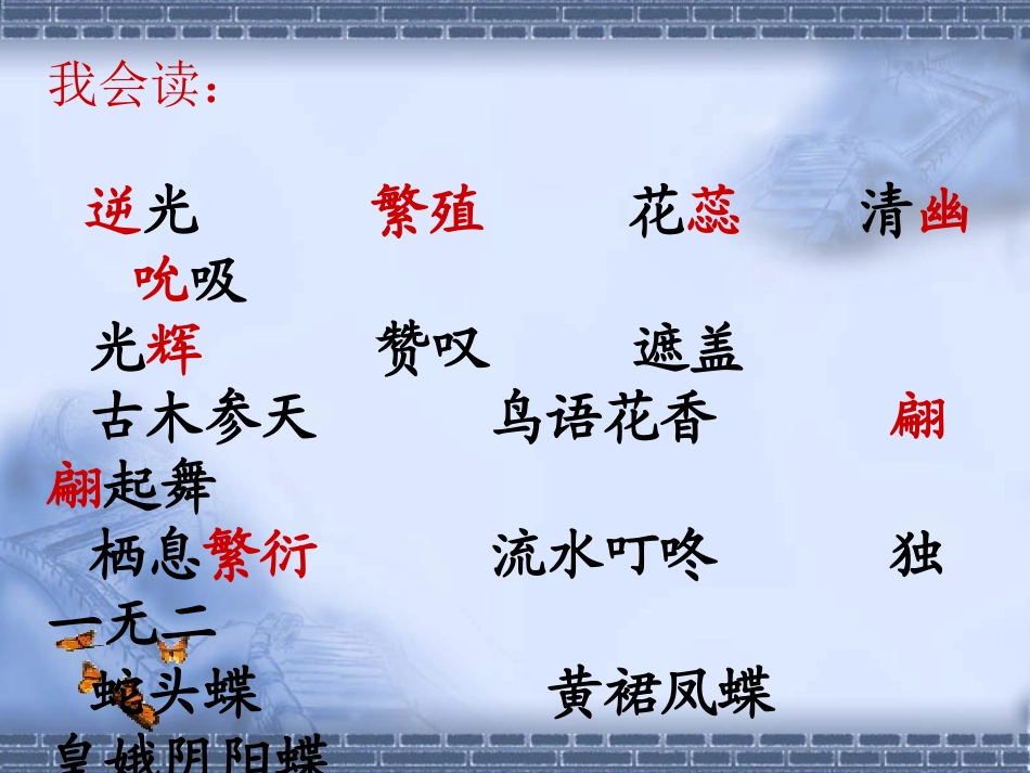 《台湾蝴蝶甲天下》PPT课件[S版四年级语文上册]_第3页