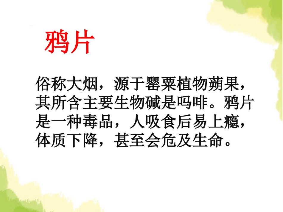 《虎门销烟》PPT课件[S版四年级语文上册]_第2页