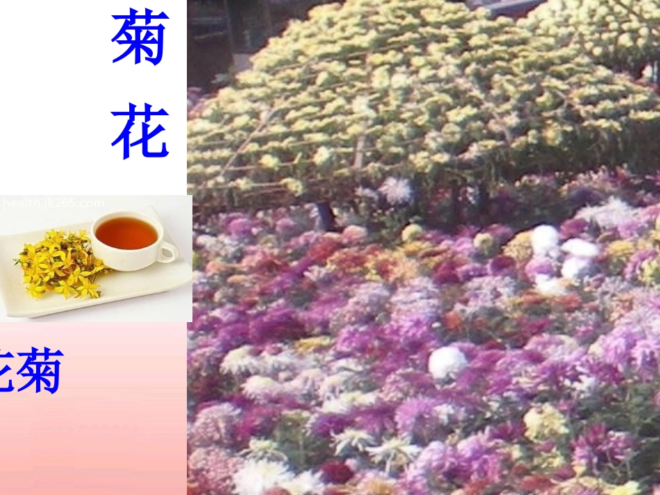 《重阳节的传说》PPT课件[S版四年级语文上册]_第3页