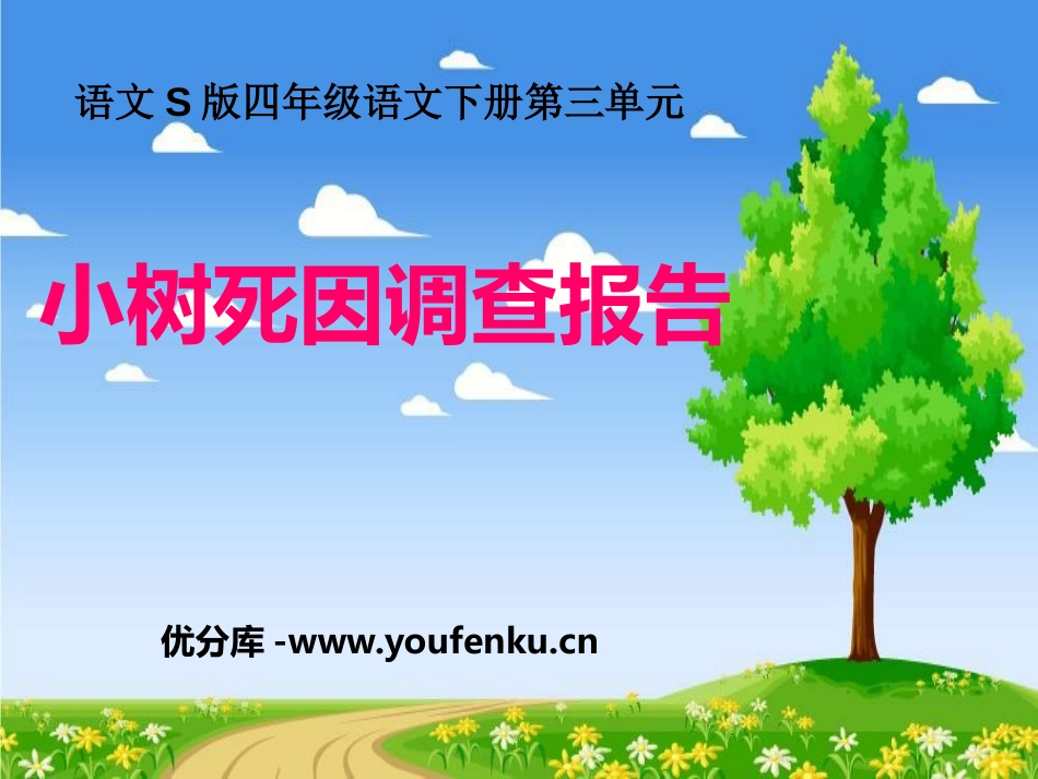 《小树死因调查报告》PPT课件[S版四年级语文下册]_第1页