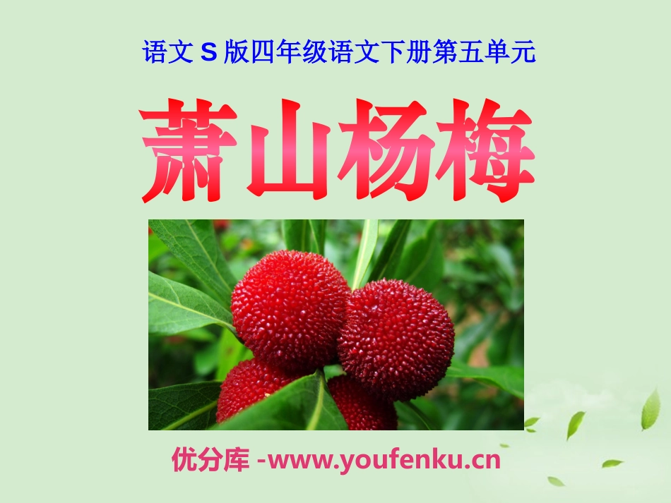 《萧山杨梅》PPT课件[S版四年级语文下册]_第1页