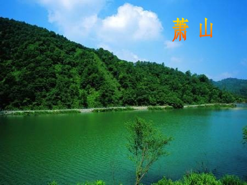 《萧山杨梅》PPT课件[S版四年级语文下册]_第3页