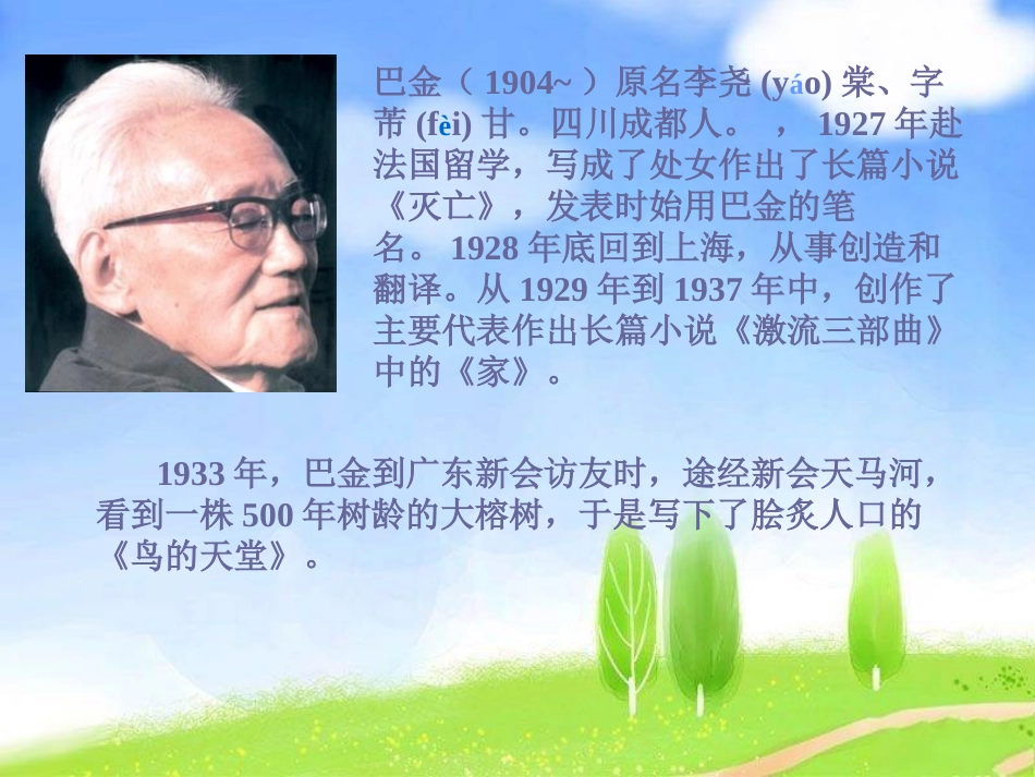 《鸟的天堂》PPT课件[S版四年级语文下册]_第3页