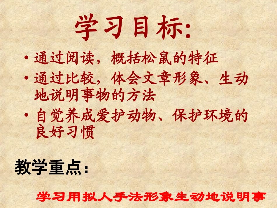 《松鼠》PPT课件[部编版五年级语文上册]_第3页