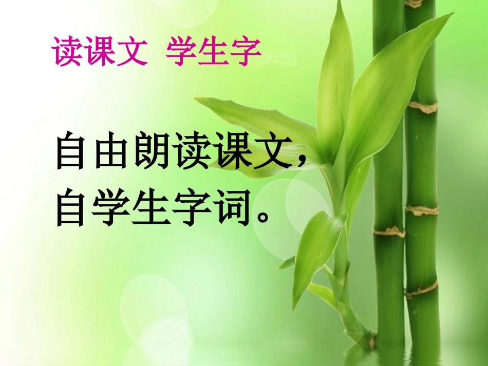 《装在信封里的小太阳》PPT课件[S版五年级语文上册]_第2页