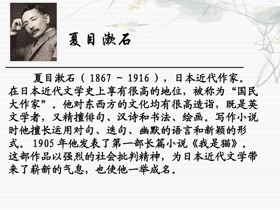 《我是猫》PPT课件[S版五年级语文上册]_第2页