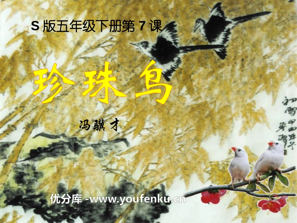 《珍珠鸟》PPT课件[S版五年级语文下册]_第1页