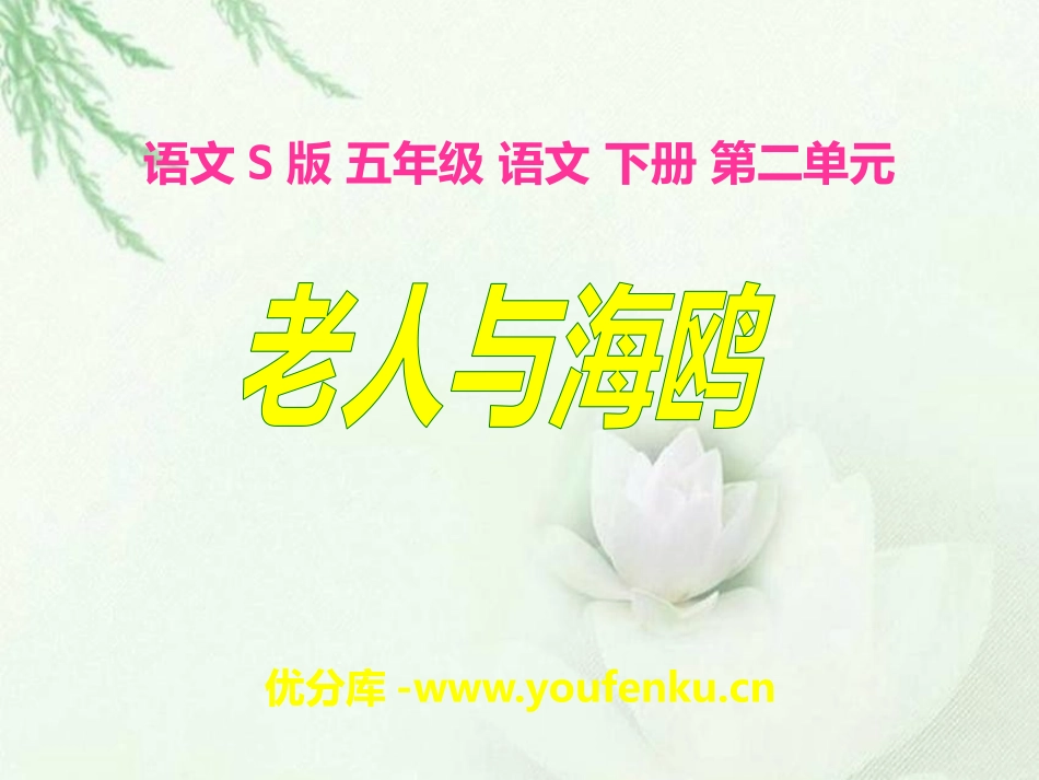 《老人与海鸥》PPT课件[S版五年级语文下册]_第1页