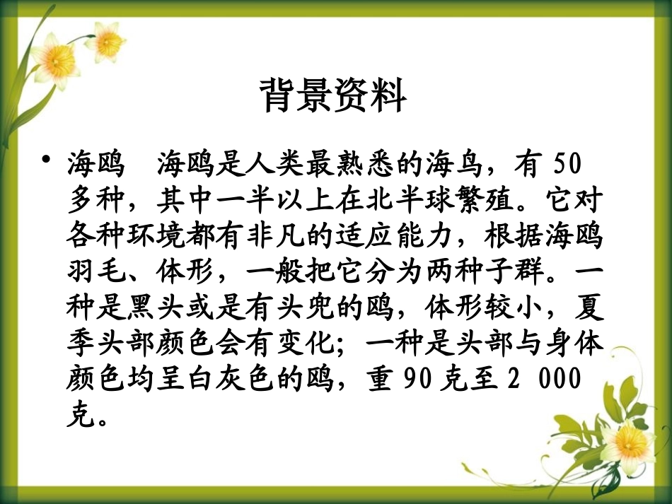 《老人与海鸥》PPT课件[S版五年级语文下册]_第2页