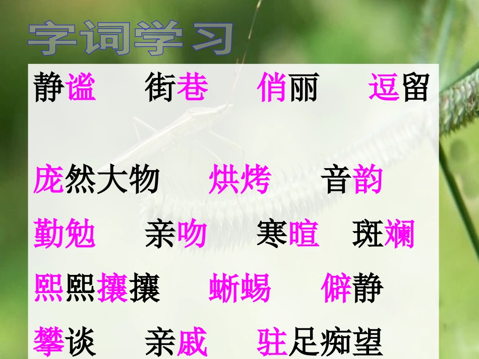 《草虫的村落》PPT课件1[S版五年级语文下册]_第3页