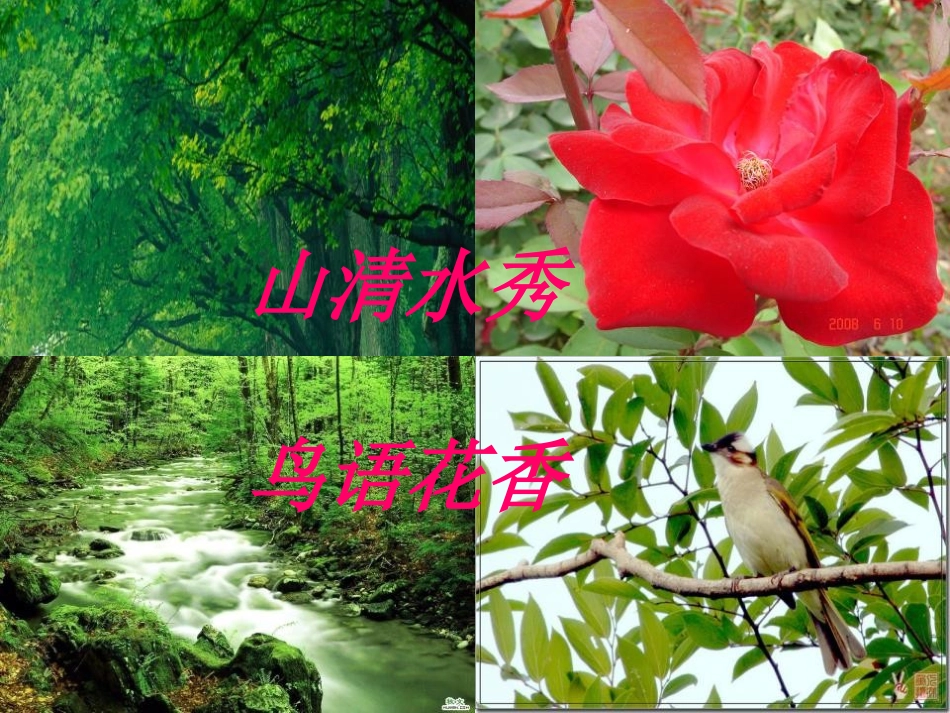 《左公柳》PPT课件[S版五年级语文下册]_第2页