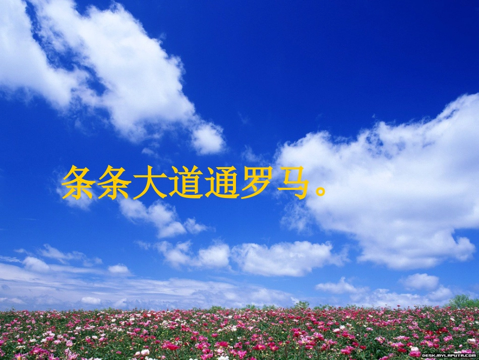 《通往广场的路不止一条》PPT课件[部编版五年级语文上册]_第2页