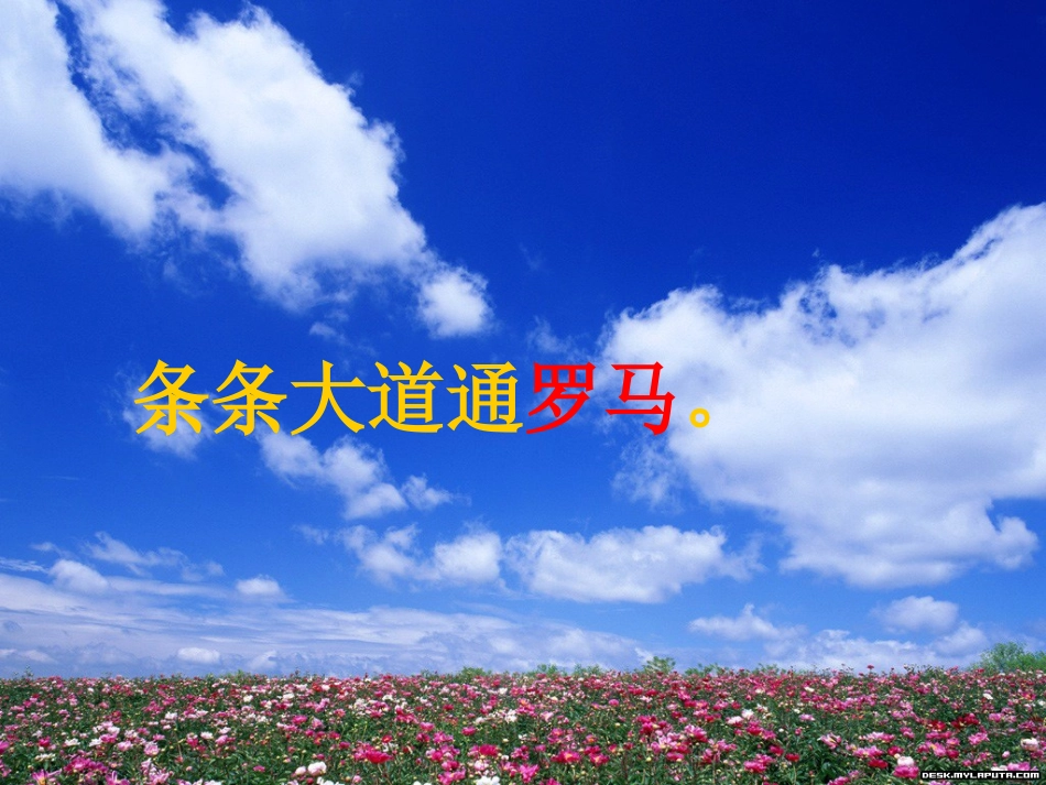 《通往广场的路不止一条》PPT课件[部编版五年级语文上册]_第3页
