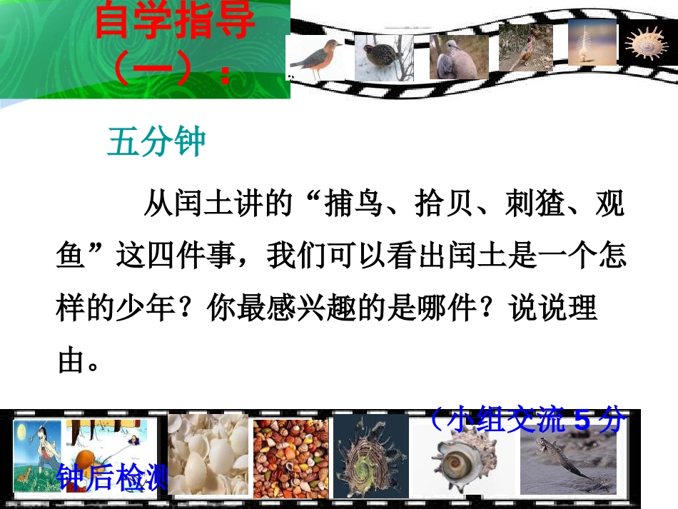 《少年闰土》PPT课件[S版五年级语文下册]_第3页