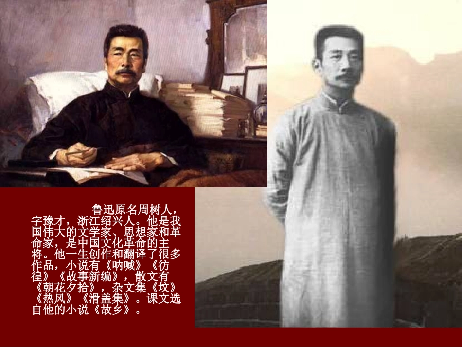 《少年闰土》PPT课件[S版五年级语文下册]_第2页