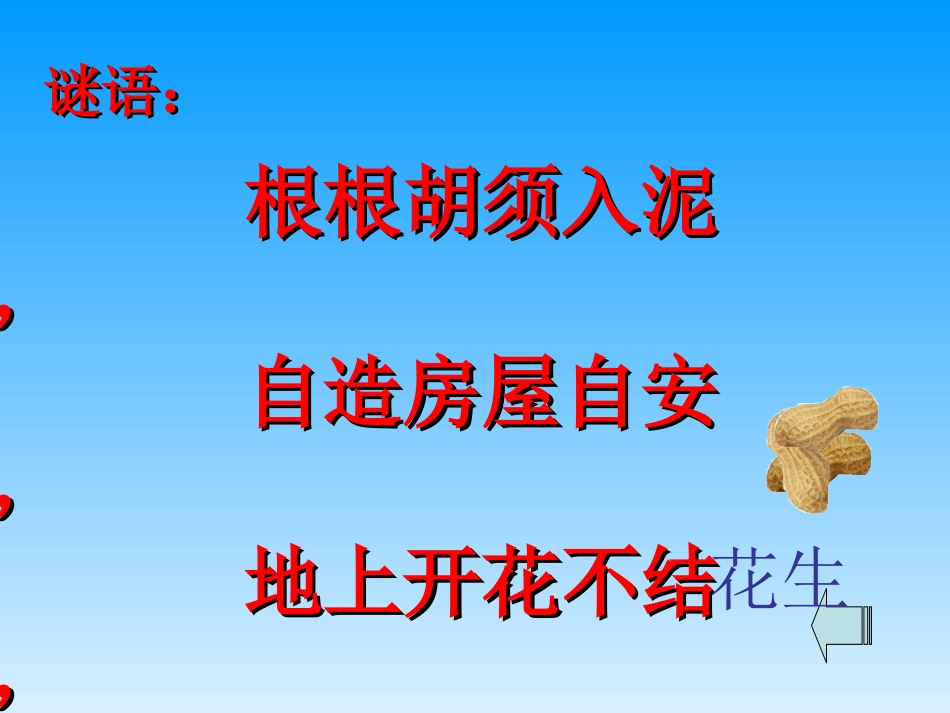 《落花生》PPT课件[部编版五年级语文上册]_第2页