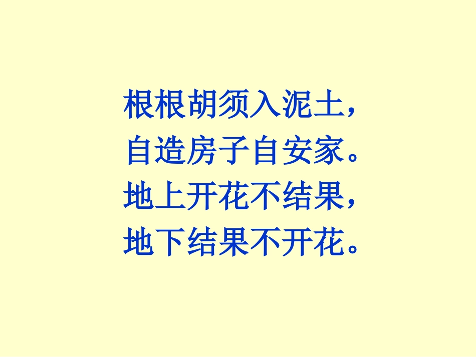 《落花生》PPT课件[部编版五年级语文上册]_第2页