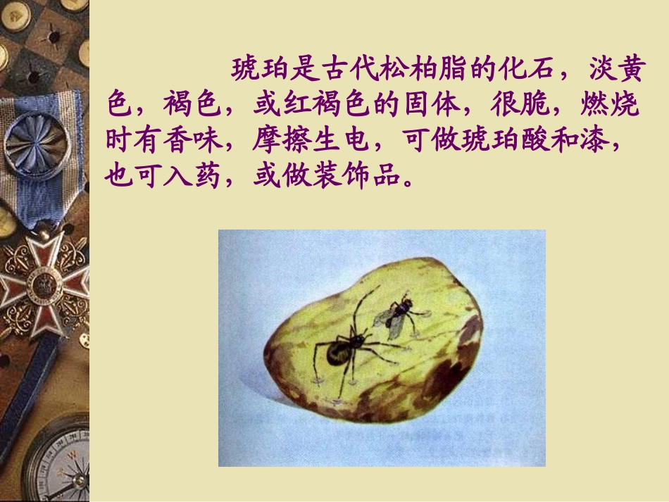 《奇异的琥珀》PPT课件[S版六年级语文上册]_第2页