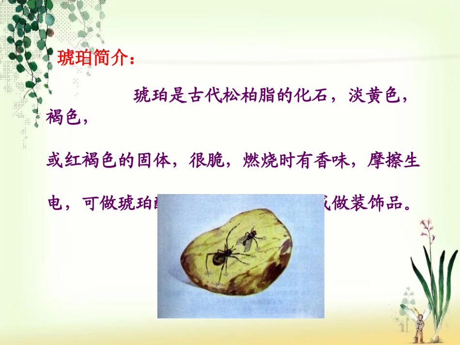 《奇异的琥珀》PPT课件[S版六年级语文上册]_第2页