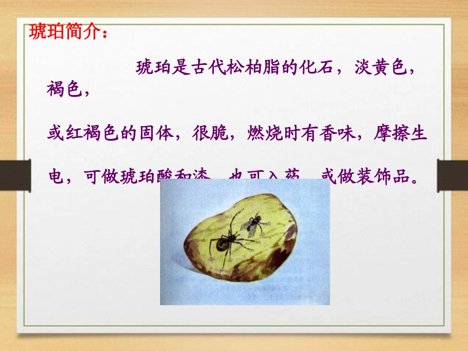 《奇异的琥珀》PPT课件[S版六年级语文上册]_第2页
