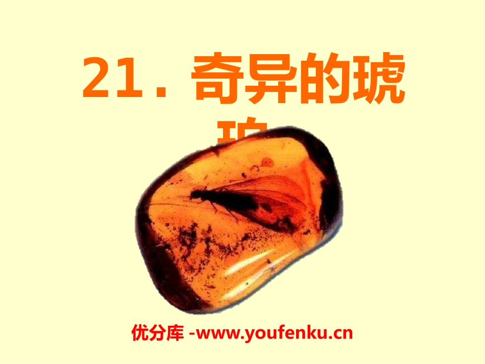 《奇异的琥珀》PPT课件[S版六年级语文上册]_第1页