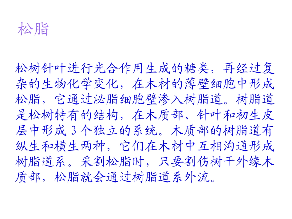 《奇异的琥珀》PPT课件[S版六年级语文上册]_第3页