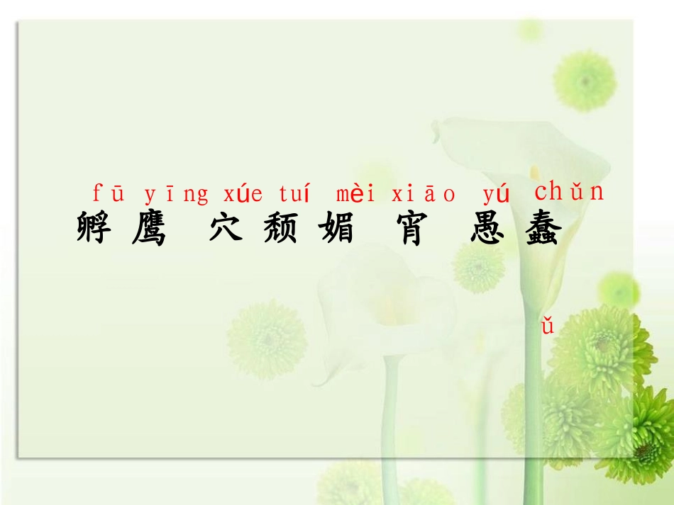 《自然之道》PPT课件[S版六年级语文上册]_第3页