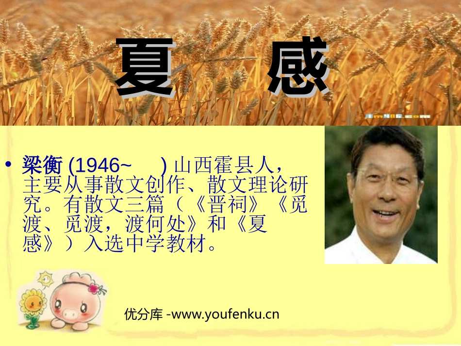《夏感》PPT课件[部编版七年级语文上册]_第1页