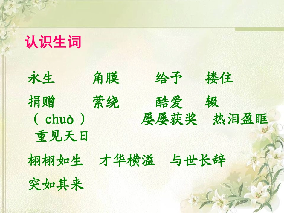 《永生的眼睛》PPT课件[S版六年级语文下册]_第2页