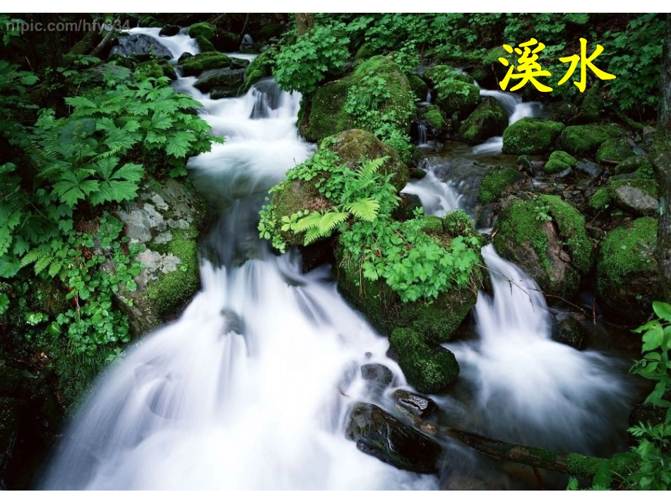《水妈妈的孩子们》PPT课件[西师大版二年级语文上册]_第3页