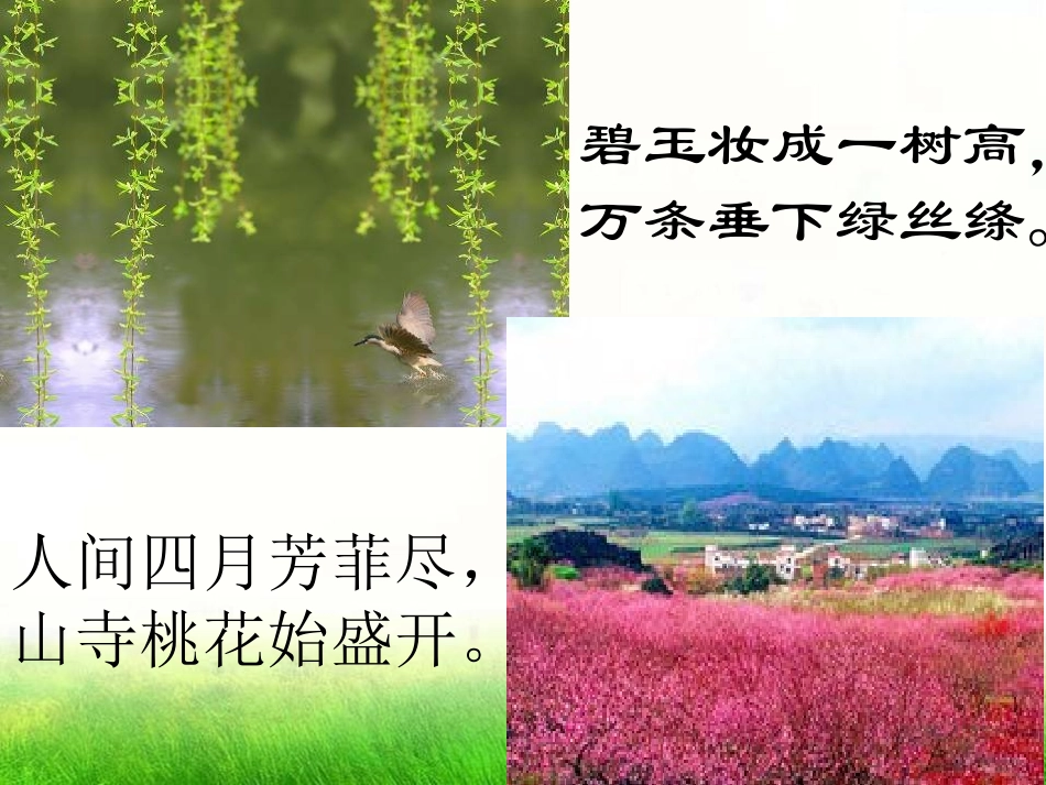 《春》PPT课件[语文版七年级语文上册]_第3页