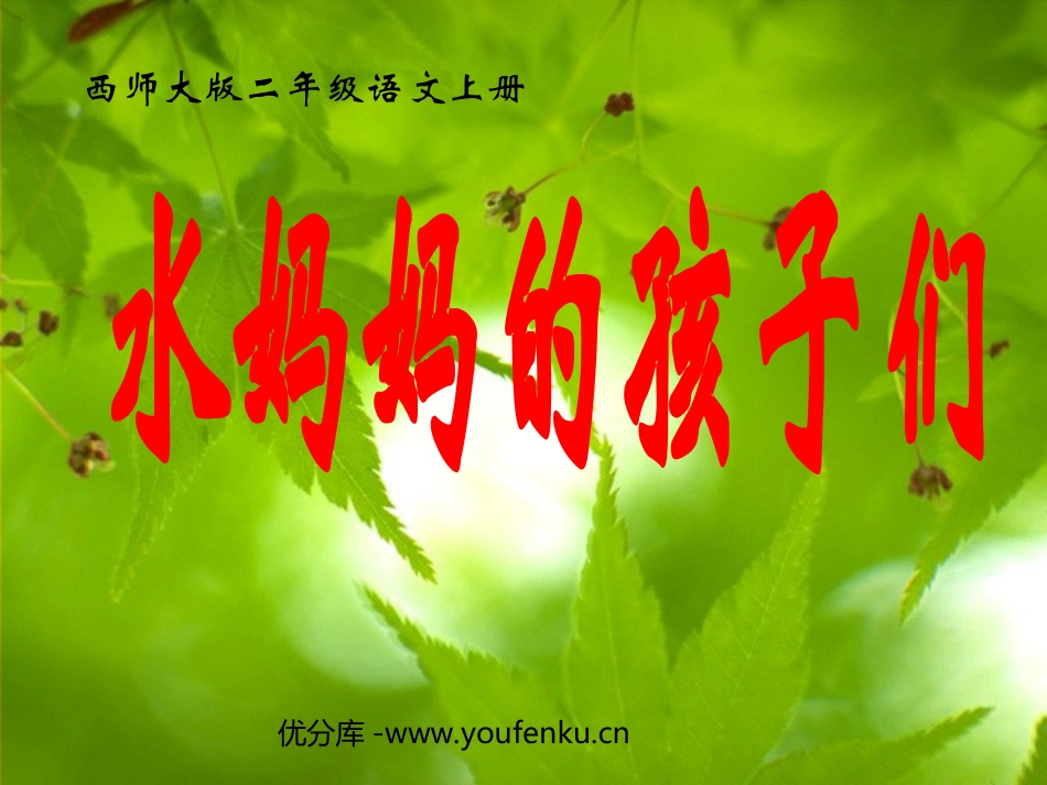 《水妈妈的孩子们》PPT课件[西师大版二年级语文上册]_第1页