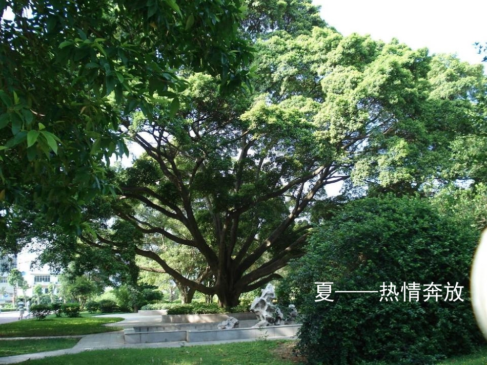 《济南的冬天》PPT课件[语文版七年级语文上册]_第3页